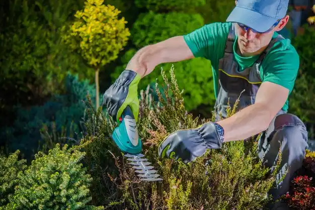 landscaping services Chatham